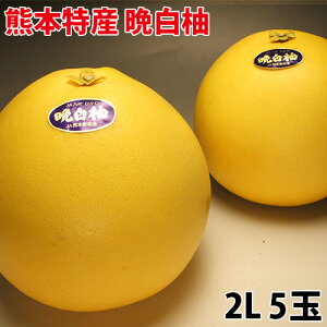  ӔM ΂؂ 2L 3L   F{Y Yn ōi  Ε N NNn    N ^ ^C㏸ 傫ȉF̊k͑gĂ N 