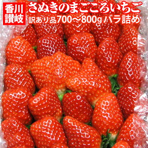  C`S  ō   󂠂 p 700g ` 800g  ol  쌧 Oؒ Y   Ε ʕ t[c  ̂ n   a ЂȍՂ 