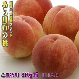 和歌山　あら川　○百の桃　3Kg　11玉　和歌山産　最高グレードの逸品　お中元に最適 【早期ご予約受付中】