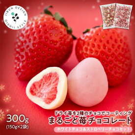 【新発売】冬季限定まるごと苺チョコレート300g 2種セット スイーツ チョコ チョコレート 常温便 送料無料 義理チョコ バレンタインチョコ 友チョコ 訳あり いちご バレンタイン ギフト