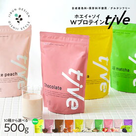 【レビュー投稿でお菓子おまけ】プロテイン 500g ホエイプロテイン ソイプロテイン シェイカー 別売り 女性 ホエイプロテイン ダイエット 安い お試し 福袋 ビタミン チョコ シンデレラ乳酸菌 コラーゲン ヒアルロン酸 葉酸 カルシウム 鉄