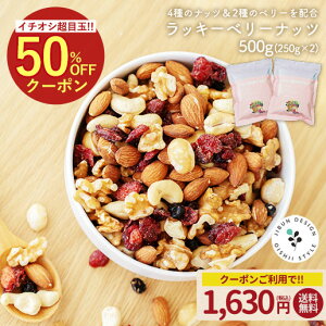 ~bNXibc hCt[c bL[x[ibc e 250g 500g(250g×2)   ibc J{  JV[ibc A[h Nx[ u[x[ IK gC~