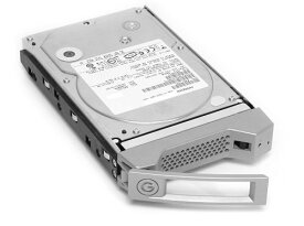 【中古】【未使用・未開封品】G-Technology G-TECH G-SPEED E1TB HDD MODULE