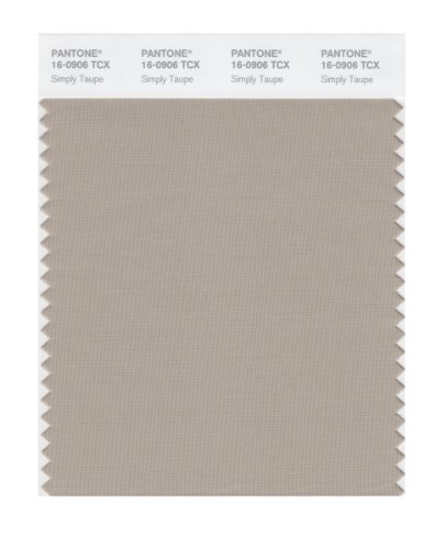 PANTONE SMART 16-0906X Color Swatch Card, Simply Taupe by Pantone