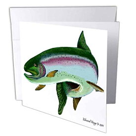 【中古】【未使用・未開封品】Edmond Hogge Jr Fish???Rainbow Trout???グリーティングカード Set of 6 Greeting Cards