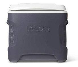 【中古】【未使用・未開封品】Igloo 40369 28 Qt. Iceless 28 Thermoelectric Cooler, Silver