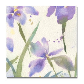 【中古】【未使用・未開封品】Trademark Fine Art Purple Iris by Sheila Golden 18 by 18-Inch SG0305-C1818GG
