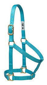【中古】【未使用・未開封品】(Average Horse, Turquoise) - Weaver Leather 35-7404-TU Basic Non-Adjustable Halter, 2.5cm Small Horse, Turquoise
