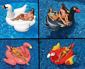 【中古】【未使用・未開封品】Swimline Giant White Swan/Flamingo/Black Swan/Parrot Floats for Swimming Pools (4 Pack)