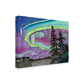 【中古】【未使用・未開封品】Trademark Fine Art ALI37905-C1419GG The Northern Lights Background by Amy Frank 14インチ x 19インチ ファインアート 14x19インチ マルチカ