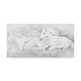 【中古】【未使用・未開封品】Trademark Fine Art All The White Horses by Phburchett, 12x24インチ