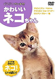 【中古】かわいいネコちゃん KID-1302 [DVD]