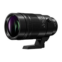 楽天市場】プロフェッショナルレンズの通販