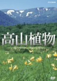 【中古】札幌市電運転席展望 [DVD]