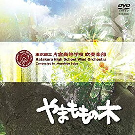 【中古】パシナ　485系特急「にちりん6号」　2 [DVD]