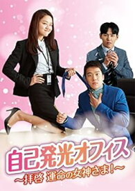 【中古】自己発光オフィス~拝啓 運命の女神さま! ~ DVD-BOX1