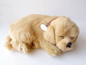 【中古】ニニアンドキノ パーフェクトペット (小サイズ) レトリバー ぬいぐるみ 犬 いぬ イヌ リアル 本物 そっくり 雑貨 動物 アニマル 癒し 動く プレ