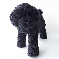 楽天市場】プードル ぬいぐるみ ブラックの通販