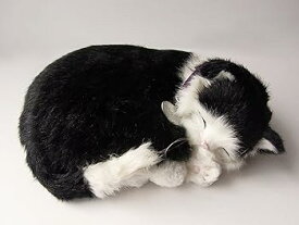 【中古】ニニアンドキノ パーフェクトペット (小サイズ) 白黒猫 ぬいぐるみ 猫 ねこ ネコ リアル 本物 そっくり 雑貨 動物 アニマル 癒し 動く プレゼン