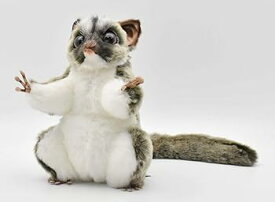 【中古】【未使用】BH7482 HANSA フクロモモンガ 22cm