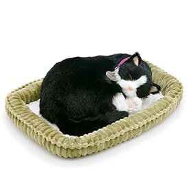 【中古】ニニアンドキノ パーフェクトペット (小サイズ) ハチワレ猫 ぬいぐるみ 猫 ねこ ネコ リアル 本物 そっくり 雑貨 動物 アニマル 癒し 動く プレ