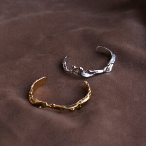 N250 oO T[WJXeX AM[Ή EF[u j[N   Vv fB[X  Mtg v[g fC[