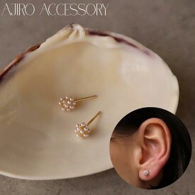 【35％OFFクーポン発行中】P352 ピアス イヤリング パール ミニピア オフィス オケージョン 高見え 華奢 結婚式 卒業式 入学式 入卒式 入園式 卒園式 可愛い 上品 大人 ギフト プレゼント 女性 レディース バリュー ジュエリー ajiro