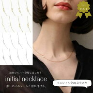 【8/10 24時間限定★50％OFFクーポン】N211 ネックレス イニシャル アルファベット シンプル チェーン サ…