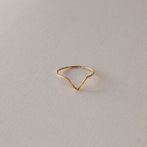 R022 w O T[WJXeX AM[Ή EF[u XO i ؚ  X  Vv  fB[X accessory