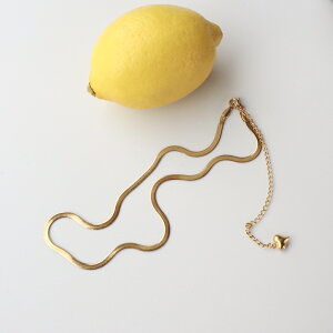 N071 XeX lbNX Xl[N Vv n[g ItBX  fB[X  Mtg v[g fC[ AM[ S[h WG[ ajiro