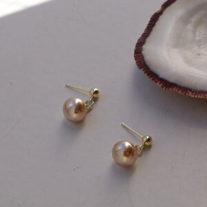 P341 sAX@Vv@p[@CO@h Z~tH[} Ǝ w   񎟉 IP[W Zj[ VpS[h@S[h@Lb`@fUC@