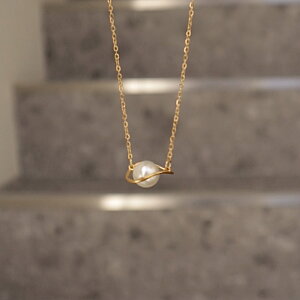 N195 lbNX y_g AM[Ή p[ tH[} Ǝ w   񎟉 IP[W Zj[ `F[ fB[X S[h@ajiro@accessory 4ok