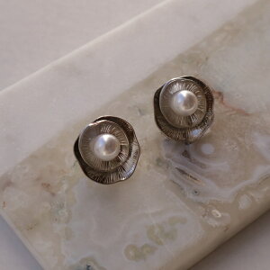 P387 sAX Ԃ p[ AeB[N Vo[ @ Mtg v[g  fB[X IP[W Zj[   ajiro 5ok