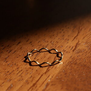 R077 w T[WJXeX AM[Ή O EF[u XO S[h  i  ؚ X Vv  fB[X d˕t o[ WG[