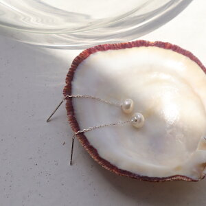 P431 sAX silver925 ~j Wp[ AJsAX `F[ IP[W  Ǝ w    񎟉 h i S[h Mtg v[g  ItBX