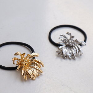 H017 wAANZT[ wAS S  ܂Ƃߔ  t[ fB[X wAAW W  Vv S[h Vo[ o[ WG[ ajiro