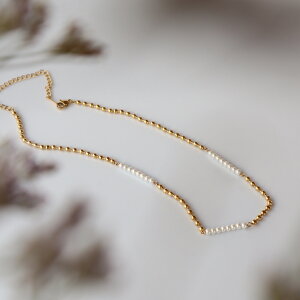 N164 XeX@p[@lbNX@Vv@Ԃԁ@`F[@JWA@S[h@@tH[} Ǝ w   񎟉 IP[W Zj[ Mtg