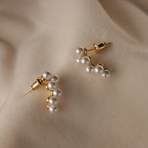 P340 sAX CO ɂȂ XeX fB[X AM[ T[WJXeX p[ S[h Vo[  Ǝ w    lC IP[W p