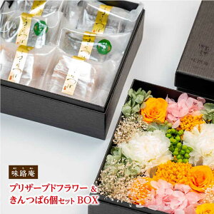hV̓@΁@΁@Ձ@d̉ԃMtgBvU[uht[6ZbgBkAΐ̘aَq΂̖Hi날j@̓@@a@j