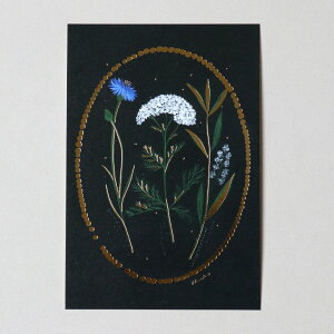 |XgJ[h i [ night dream ] ͂ Gt |XgJ[h CXg G [ Xe[Vi[  cozyca products/\Ђ 킢 v[g Mtg v`Mtg