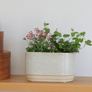 �C���e���A �|�b�g ���J�o�[ [ ���_�i ] W20×H11.5cm �K�[�f���G�� �A�� �O���[�� �؍��C���e���A �؍��G�� �k���� ������� ���킢��