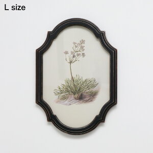 ؐ NVJ tHgt[ [ S(11.9×19.1cm) M(17.1×26.7cm) L(22.3×31.9cm)] `[N Ebh VR t[ AeB[N AN i` CeA G Ǌ| y  킢 