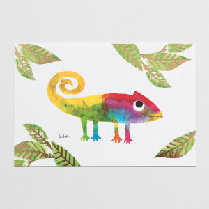 |XgJ[h Leo Lionni IEIj [ A Color of His Own ] ͂ Gt |XgJ[h CXg G [ Xe[Vi[  cozyca products/\Ђ 킢 v[g M