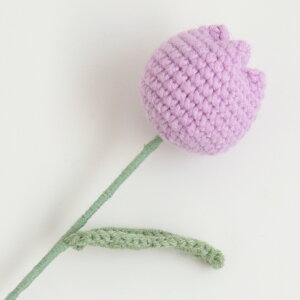 `[bv jbgt[ jbg   CeA  IuWF ؍ k i` 킢  Mtg v[g