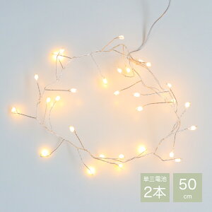 LEDCg@50cm CeA  c[ NX}X fR[V  킢  킢 Mtg v[g