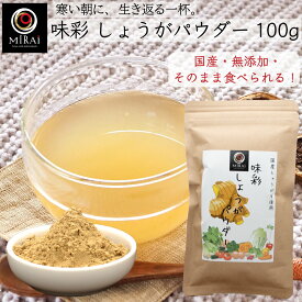 生姜パウダー 国産 味彩 しょうがパウダー 100g 【メール便 送料無料】 粉末生姜 ジンジャーパウダー 生姜 粉末 ショウガ ジンジャー パウダー 生姜湯 無添加 飲み物 ドリンク 料理 加熱不要 ショウガオール