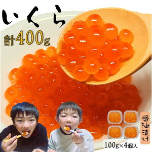  ݖЂ 100g × 4 CN  Hׂ ݖЂ 400g  Ⓚ  CN  O т̂ ܂ C̍K 炵傤Ђ ݖ ݖ 