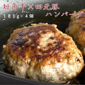 no[O 180g 4 Zbg Ⓚ Zp l 茧Y a Y Y  Mtg i j  O hV̓ ͂Z^[ 쌧 y gg  a