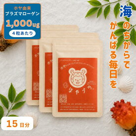 【お得な2週間分】ほやプラ ほやからつくった プラズマローゲン サプリメント 20粒×3個 約15日分 ホヤ由来 プラズマローゲン 1000μg 配合 DHA型 サプリ カプセルタイプ ほや 認知機能 サポート DHA EPA 型 Plasmalogen 国内製造【送料無料】※賞味期限2026年12月5日