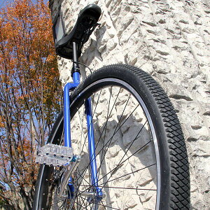 ẼgbvuhɂĊv[ KrisHolm ]vf[X36C`֎KrisHolm - 36in